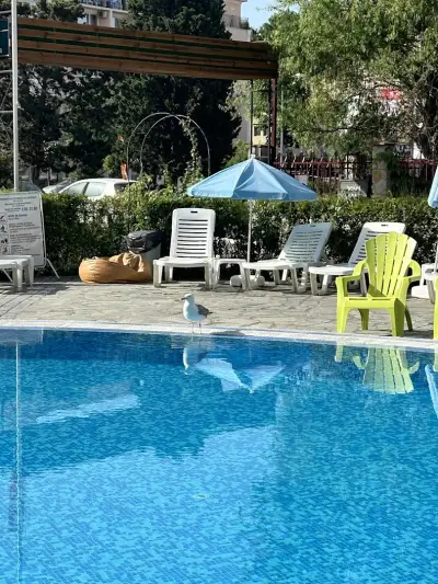 Hotel Pacific Palma