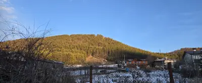Паунова къща