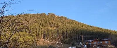 Паунова къща