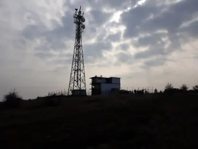 Хранителни стоки