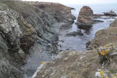 Хранителни стоки