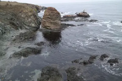 Хранителни стоки