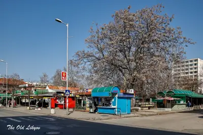 ОБЩИНСКИ ПАЗАРИ ЛОВЕЧ