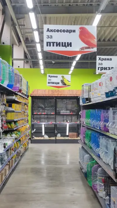 Зоомания Мегастор