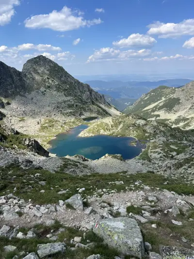 Мальовица