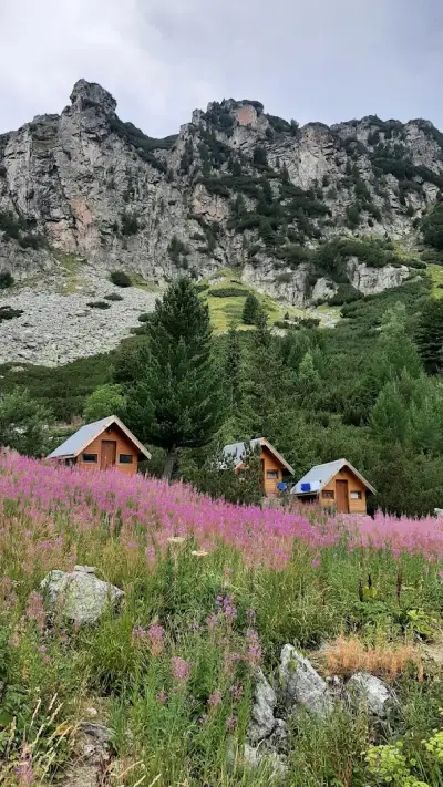 Мальовица