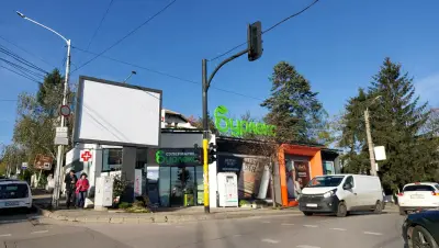 Бурлекс Бояна