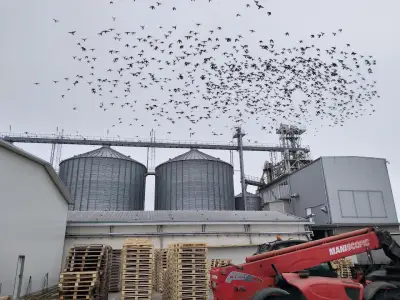 Suncomo Foods Bulgaria / OLC