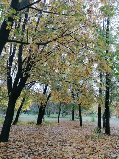 Парк „Света Троица“