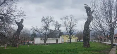 Читалище „Светлина“
