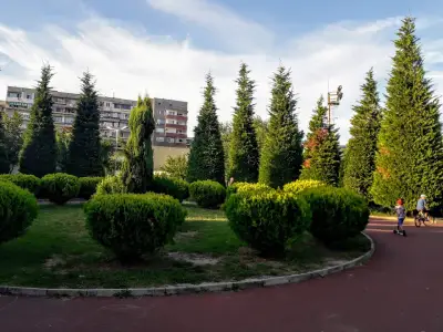 Скейт Парк Младост