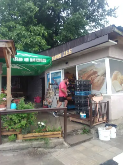 Стария Дъб