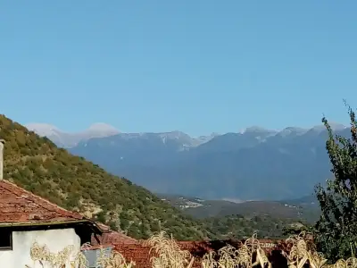 Каравана Яворите