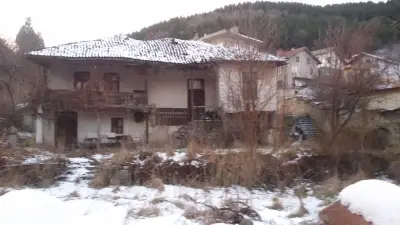 Кафе Версай