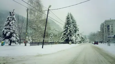 ЕТ „Вира Тодоров“