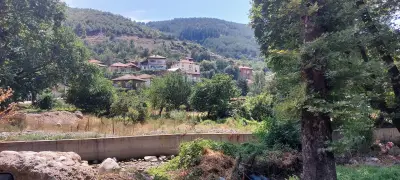 Mountainn Rest