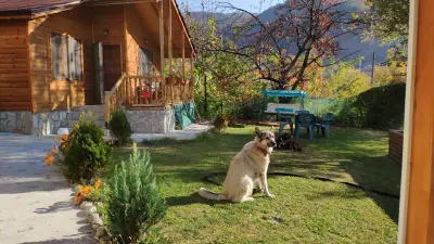 Mountainn Rest