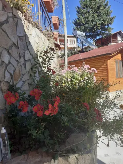 Mountainn Rest