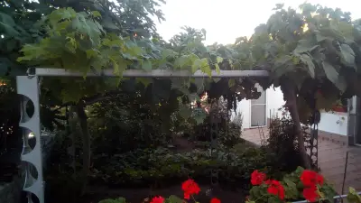 Bakery "Jani" Пекарна Джани