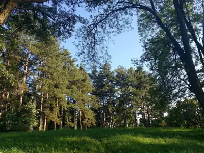 Парк „Калето“