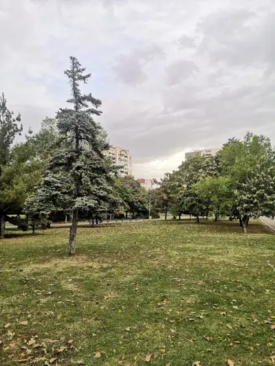 парк „Младост 3“
