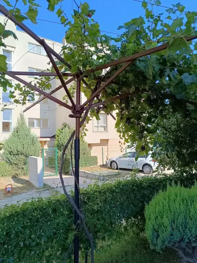 Хотел Кипарис