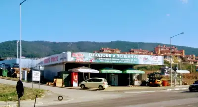 Съни Фреш