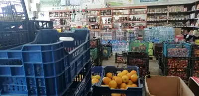 Съни Фреш
