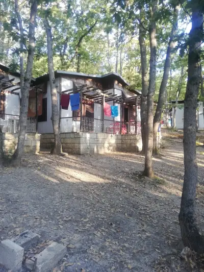 БТА - Бунгала, Шкорпиловци