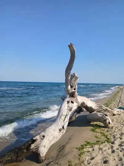 Шкорпиловци Южен плаж
