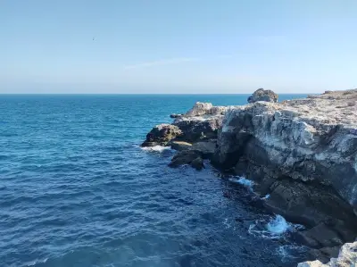 Тюленовата пещера