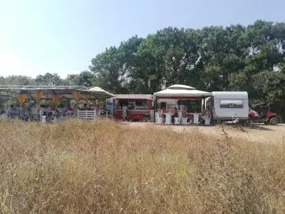 Beach Bar and Café