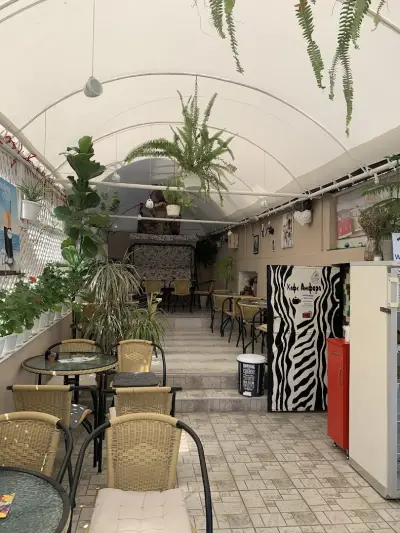 Amphora Coffee and Cakes