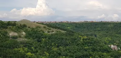 Крепост „Бизоне“