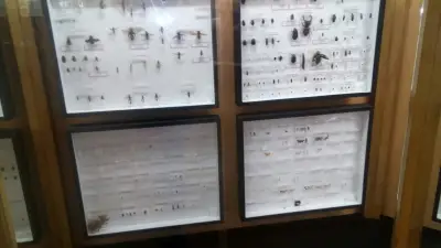 Popovich Shop