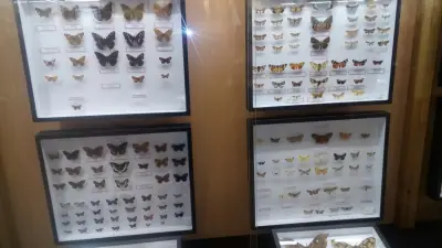Popovich Shop