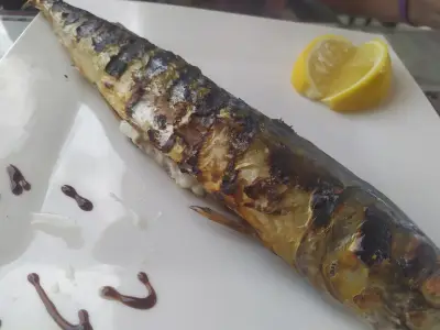Iris Bar