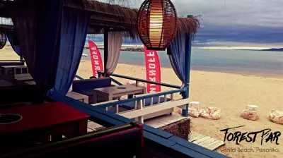 Forest Bar