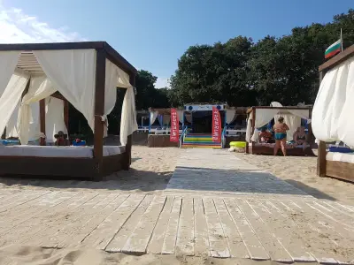 Forest Bar