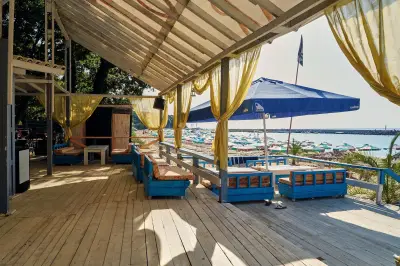 Forest Bar