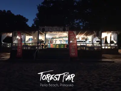 Forest Bar