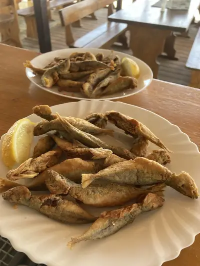 МАГУРА