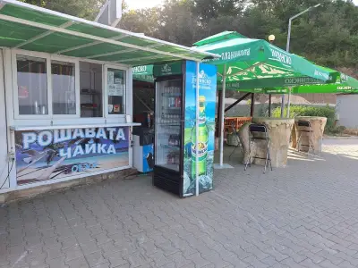 Рошавата Чайка