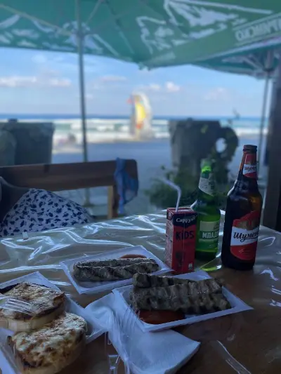 Рошавата Чайка