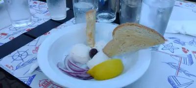 Южен Бряг
