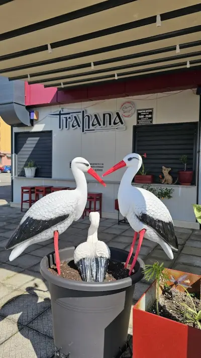 Трахана