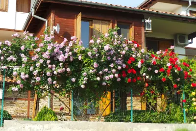 Sun House Holliday Village