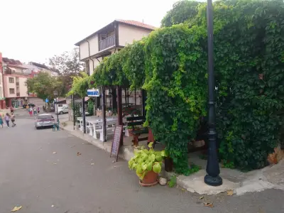 Hedi Sozopol