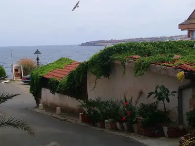 Hedi Sozopol