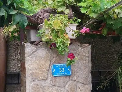 Hedi Sozopol